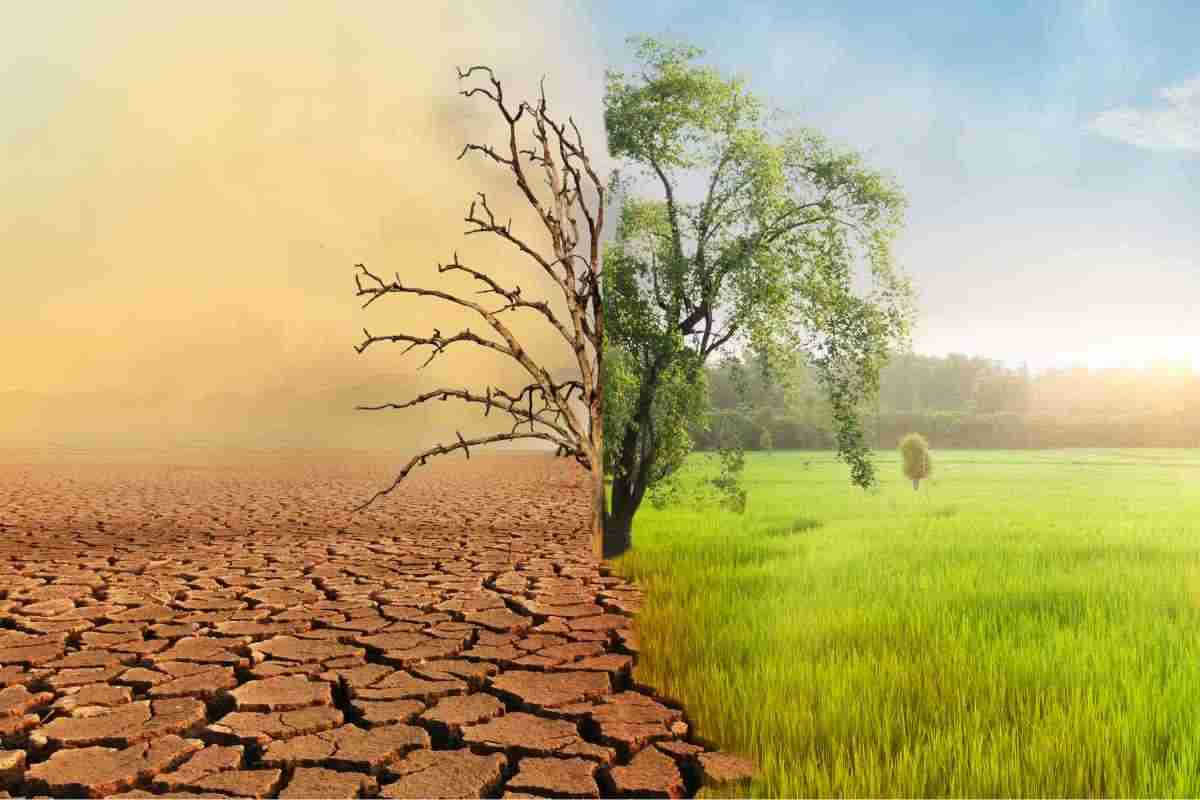 Basta solo il freddo contro il cambiamento climatico